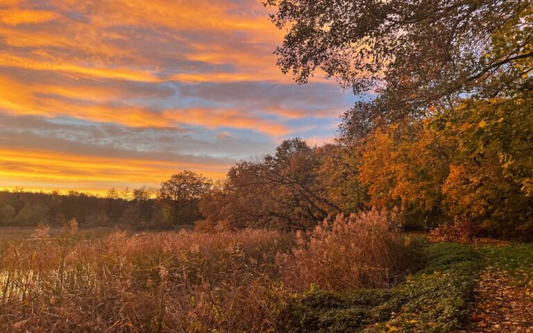 2021-10_Jesień w Pruszowicach (6)