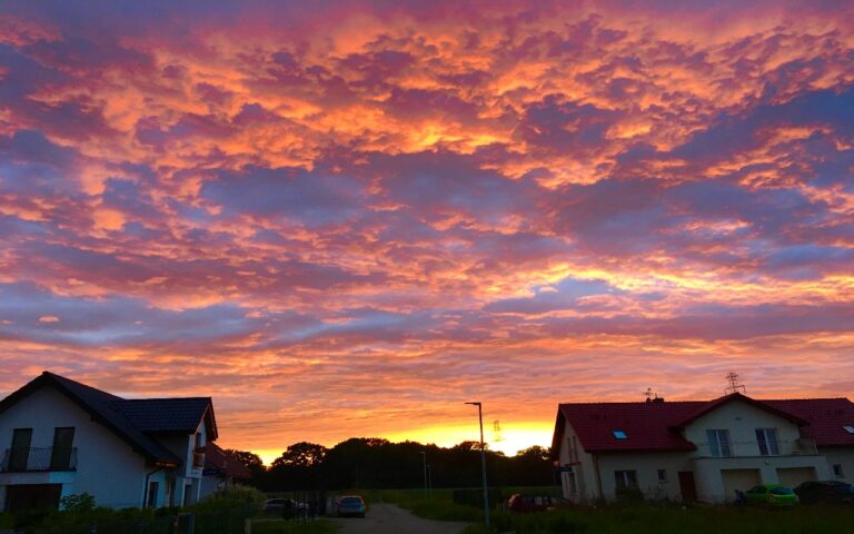 Pruszowice_Krajobrazy (2020) (2020_